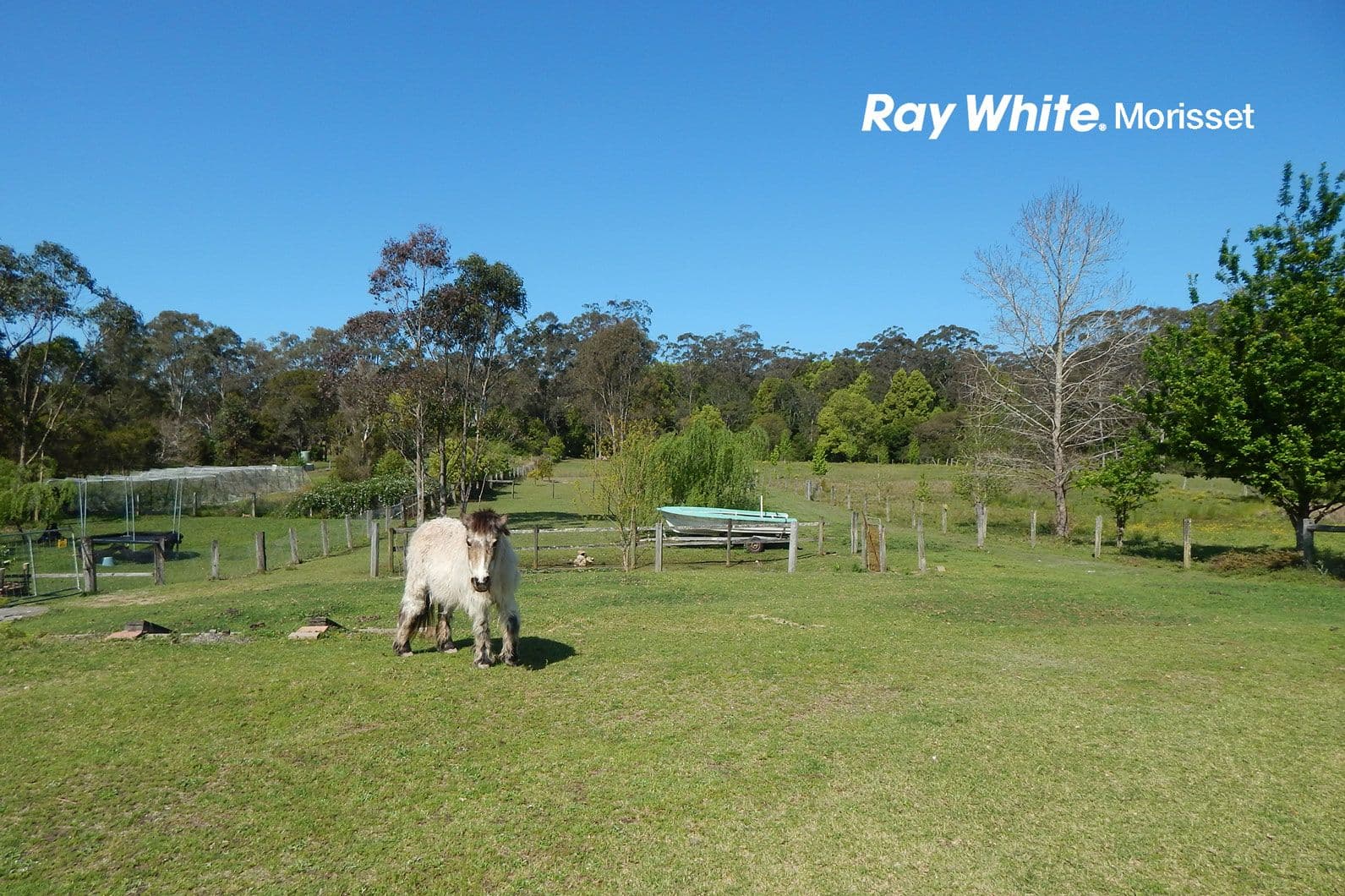 39a Avondale Road, Cooranbong NSW 2265, Cooranbong - Thumbnail 3