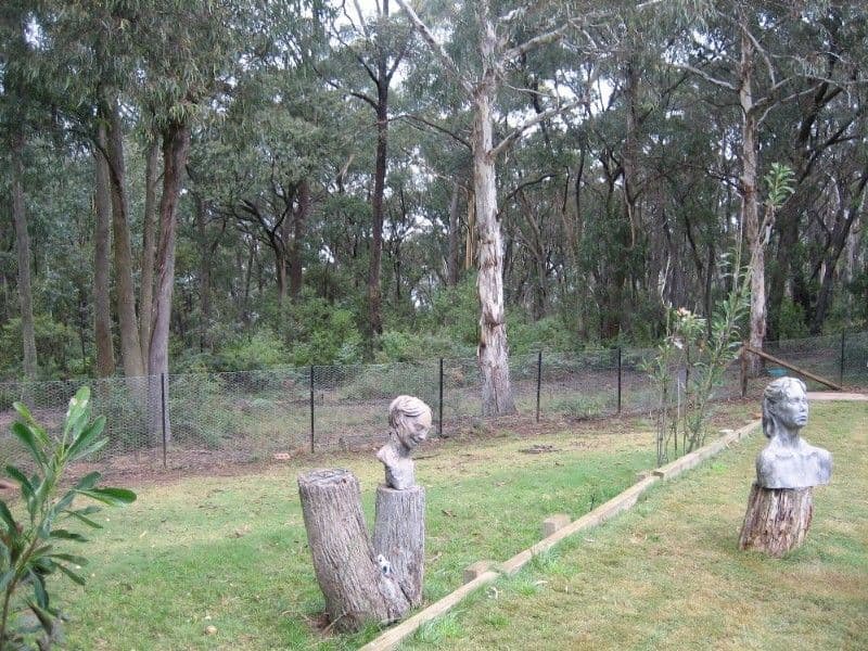 DARGAN NSW 2786, Dargan - Thumbnail 7