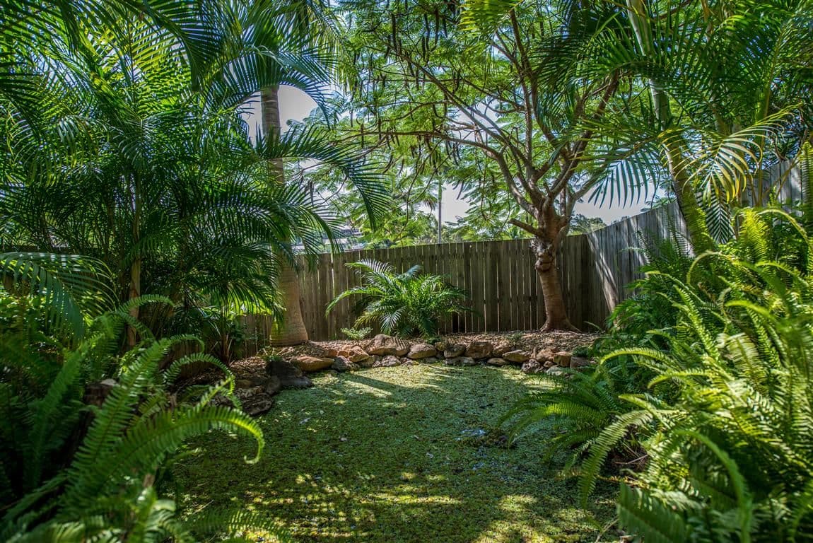 33 Curtawilla Street, BANORA POINT NSW 2486, Banora Point - Thumbnail 5