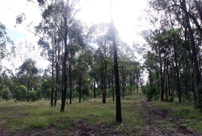 7 Locke Lane, NANANGO QLD 4615, Nanango - Thumbnail 4