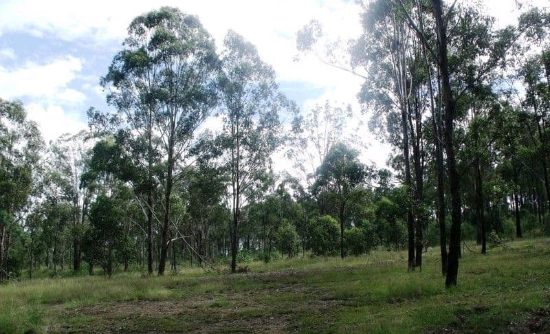 7 Locke Lane, NANANGO QLD 4615, Nanango - Thumbnail 5