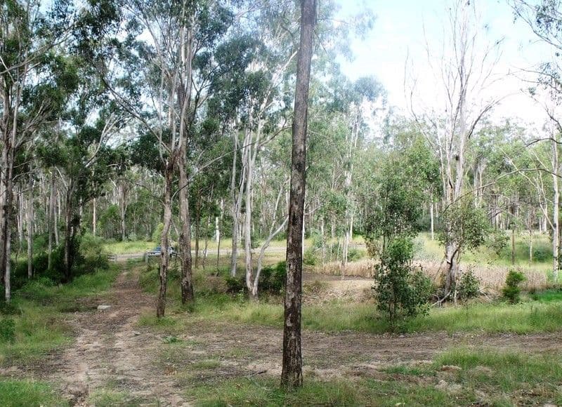 7 Locke Lane, NANANGO QLD 4615, Nanango - Thumbnail 7