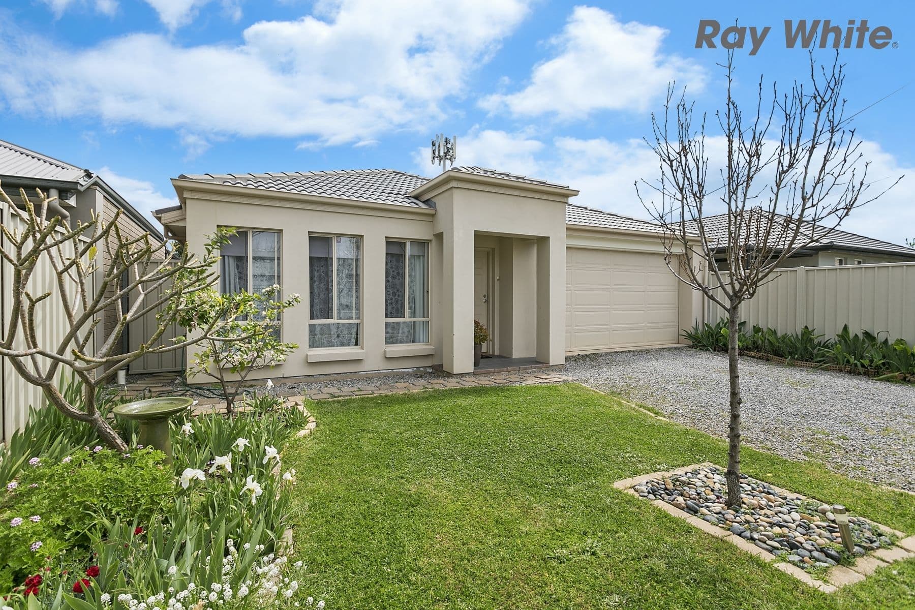 6A Alice Street, Hove SA 5048, Hove - Image 1