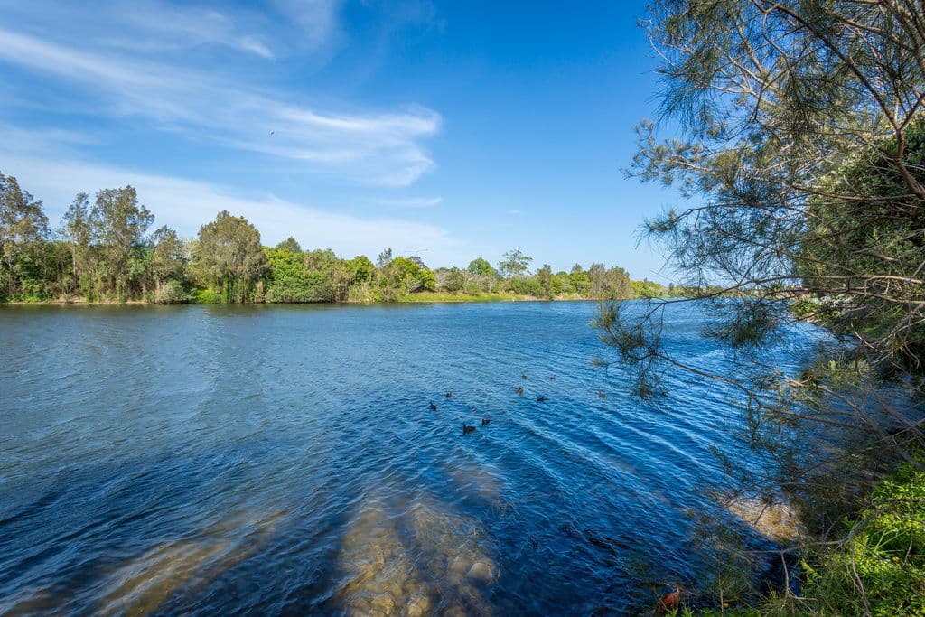 24 Emerton Crescent, Robina QLD 4226, Robina - Image 1