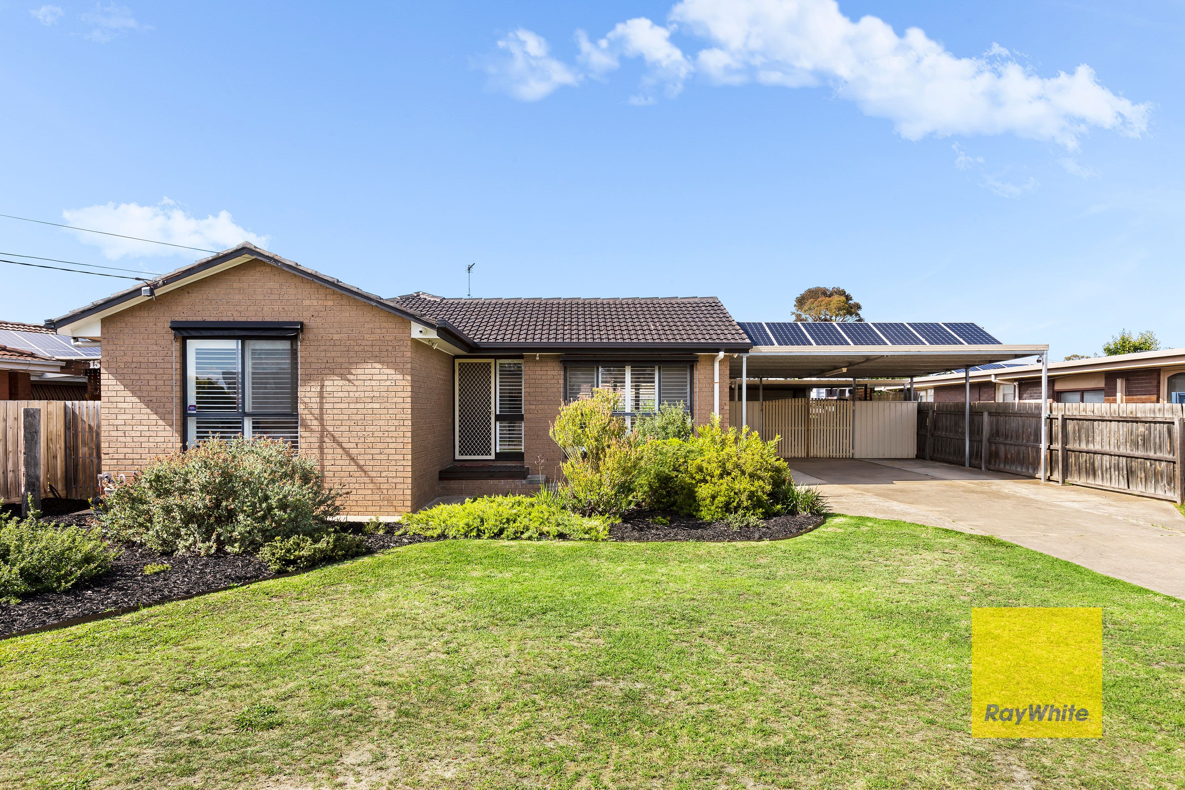 17 Griffith Street, Grovedale VIC 3216, Grovedale - Image 1
