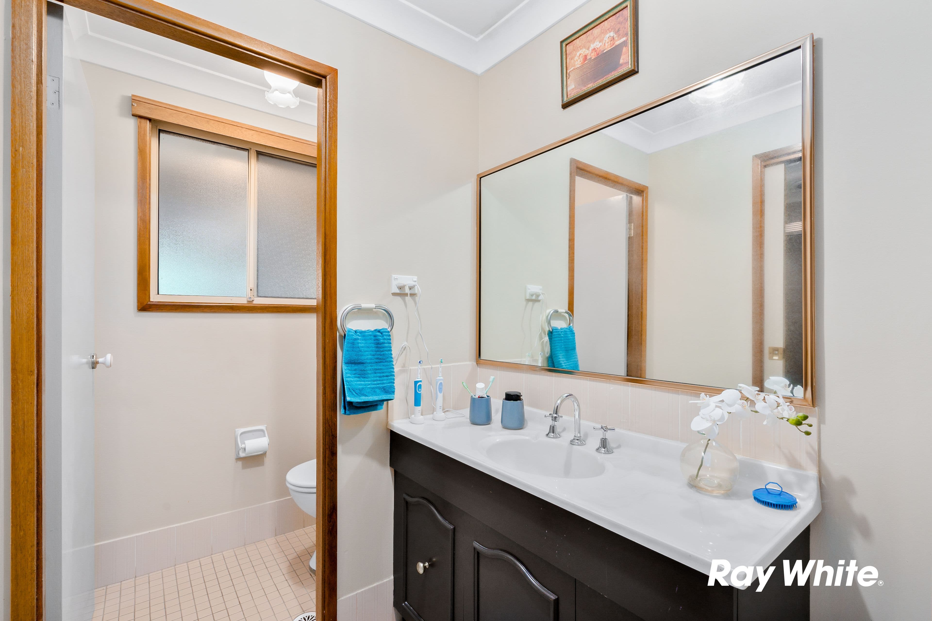 4 Aleppo Street, Quakers Hill NSW 2763, Quakers Hill - Thumbnail 6