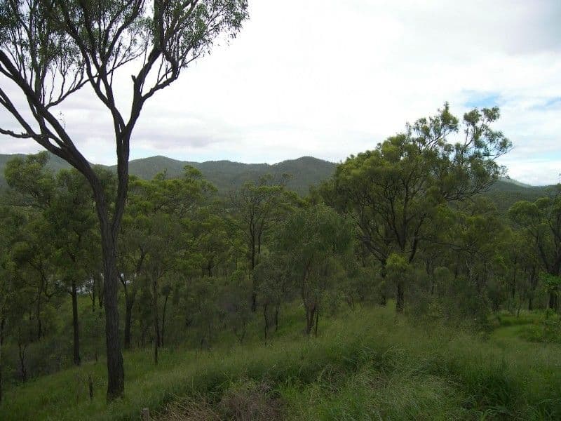 25 Ridge Street, Epping - Thumbnail 3