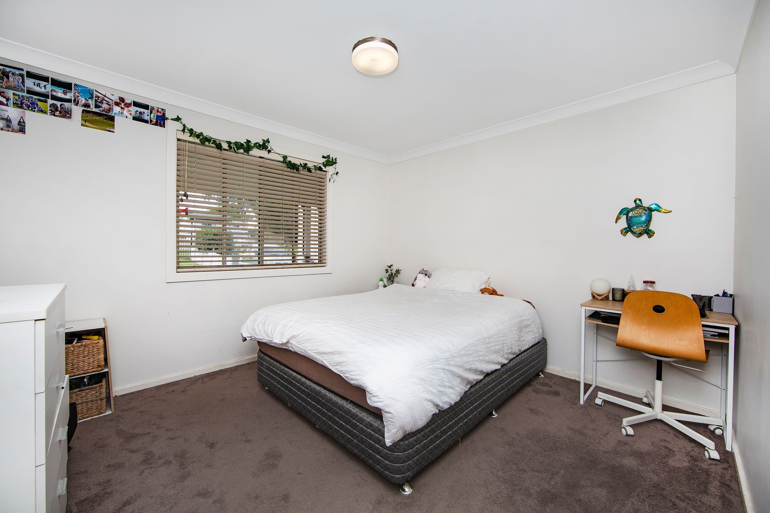 12 Coonanga Avenue, Budgewoi NSW 2262, Budgewoi - Thumbnail 6