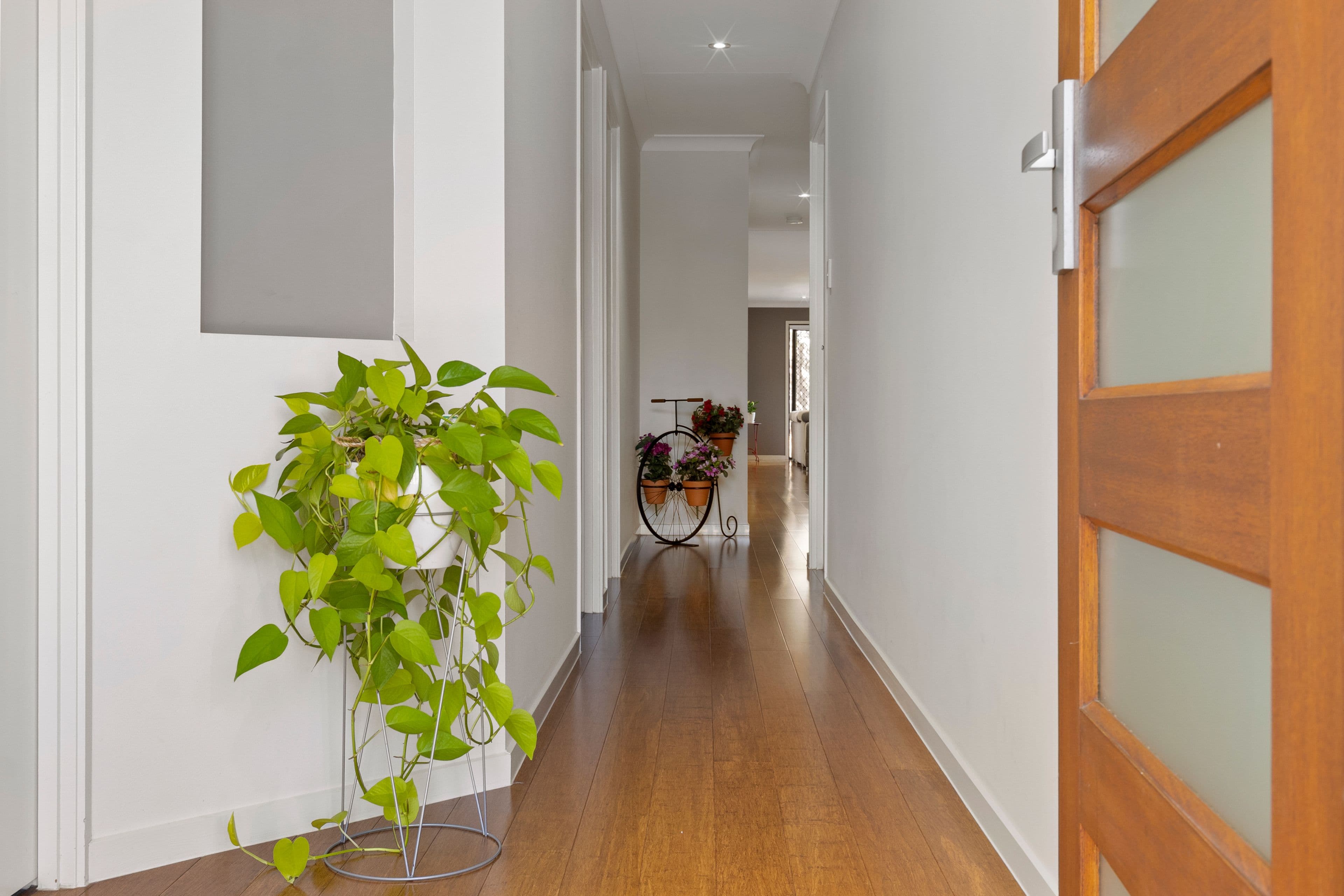 60 Willow Rise Drive, Waterford QLD 4133, Waterford - Thumbnail 2