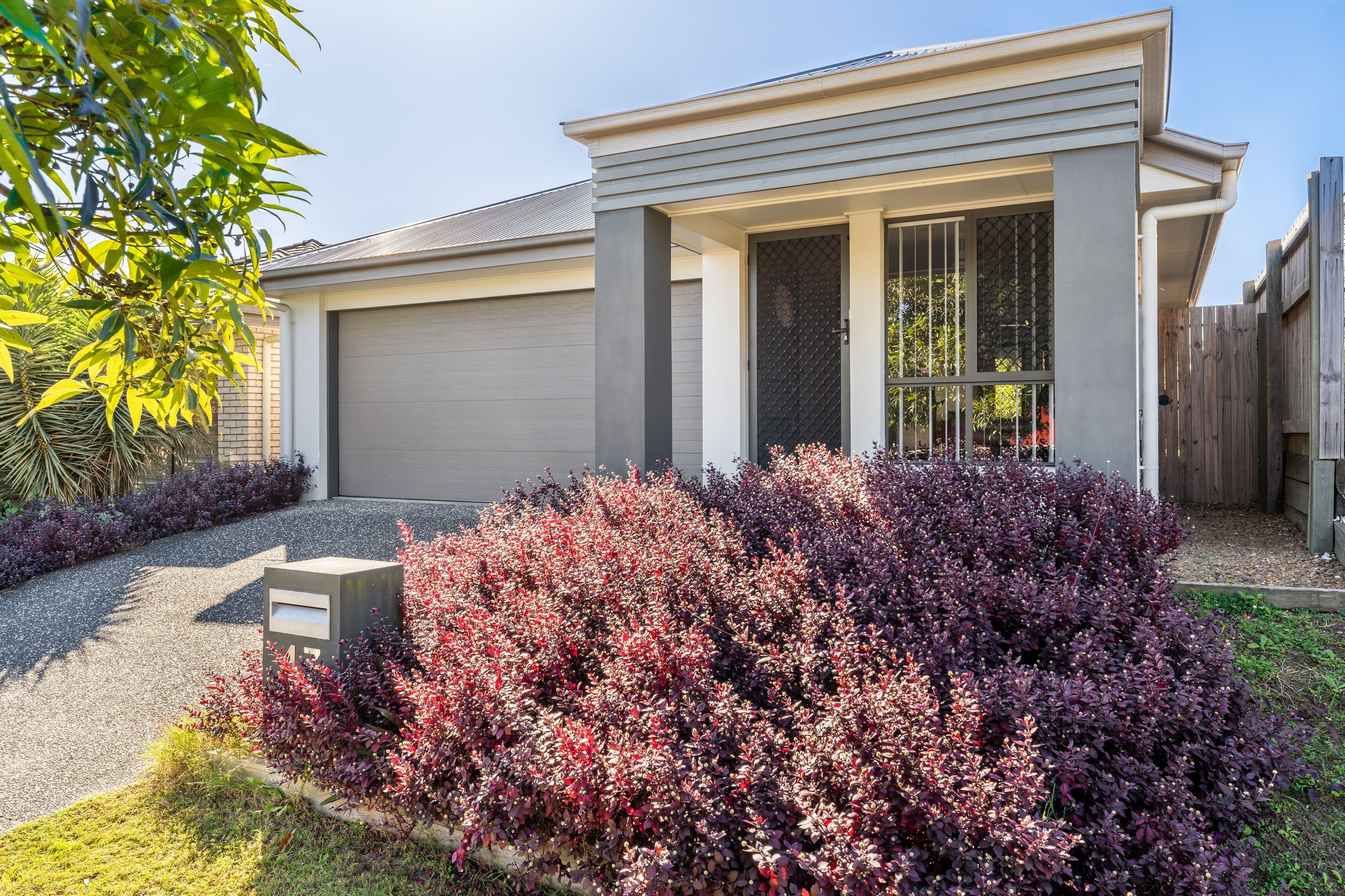 47 Cobblestone Avenue, Logan Reserve QLD 4133, Logan Reserve - Thumbnail 2