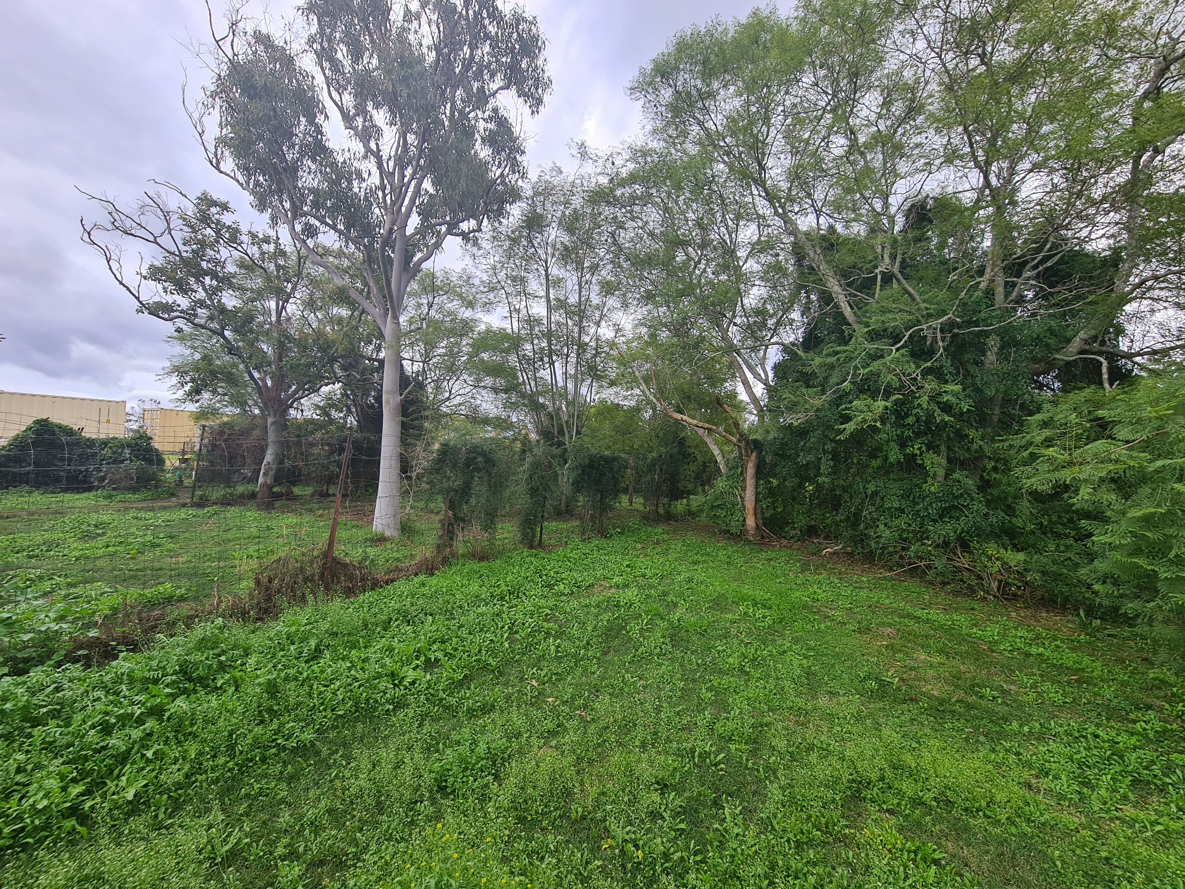 28 Boundary Street, Haden QLD 4353, Haden - Thumbnail 4