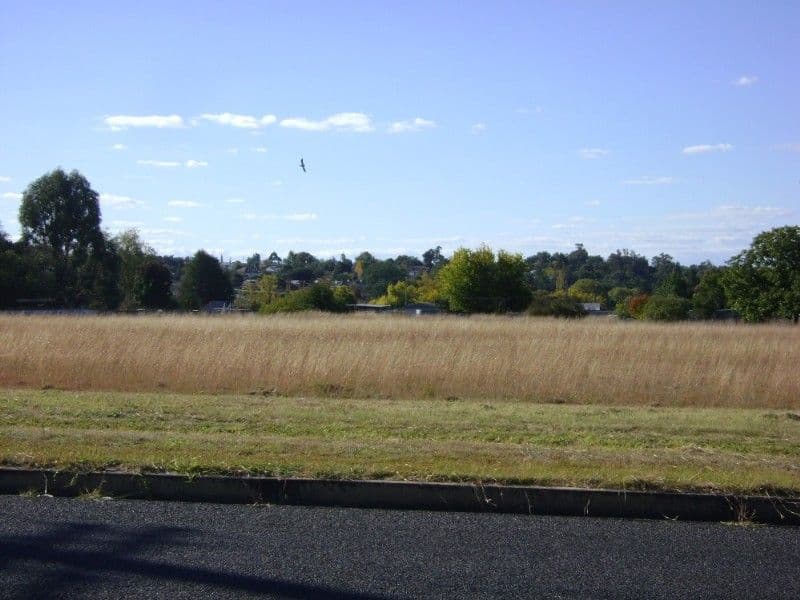 Lot 100 Rappville Rd, Rappville; via, CASINO, NSW, 2470, Inverell - Image 1
