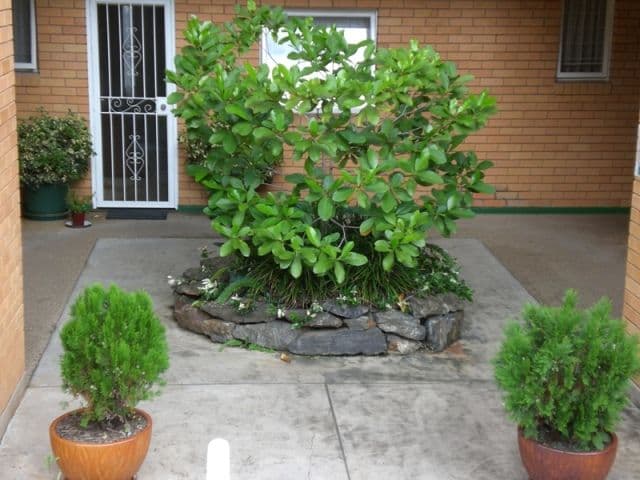 35 Langside Road, HAMILTON QLD 4007, Hamilton - Thumbnail 6
