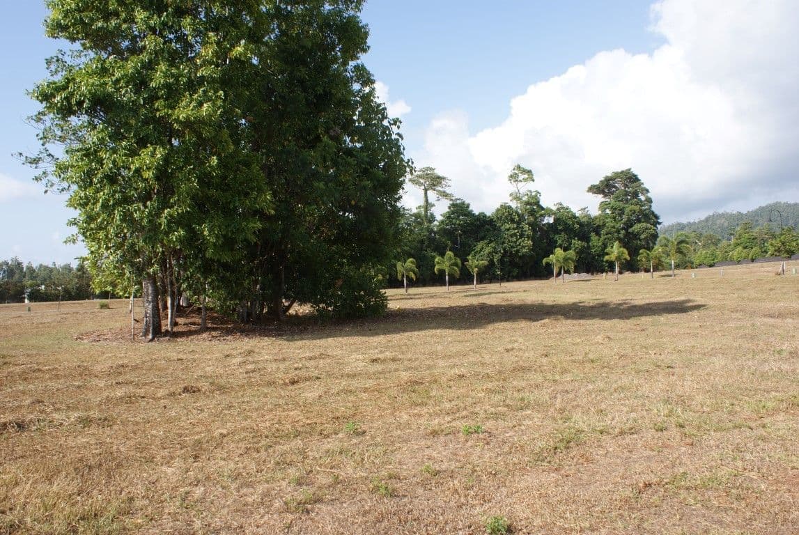 Lot 139 Shelly Court, Mission Beach QLD 4852, Mission Beach - Thumbnail 3