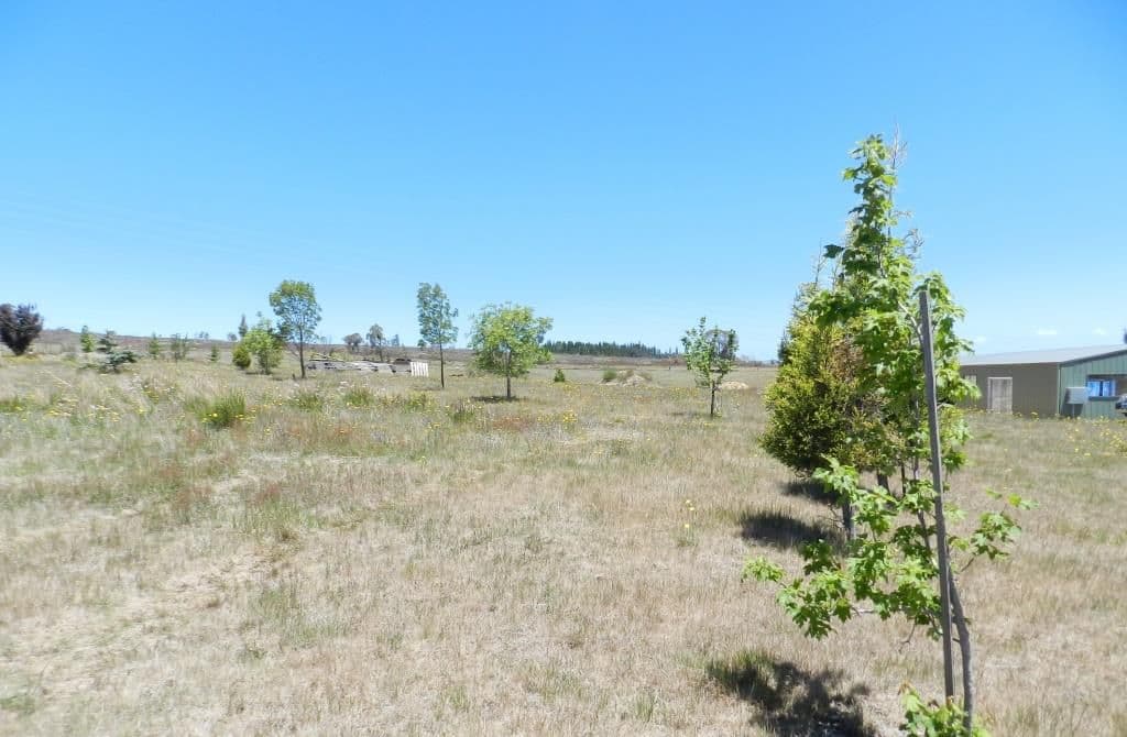 Wallerawang NSW 2845, Wallerawang - Thumbnail 4