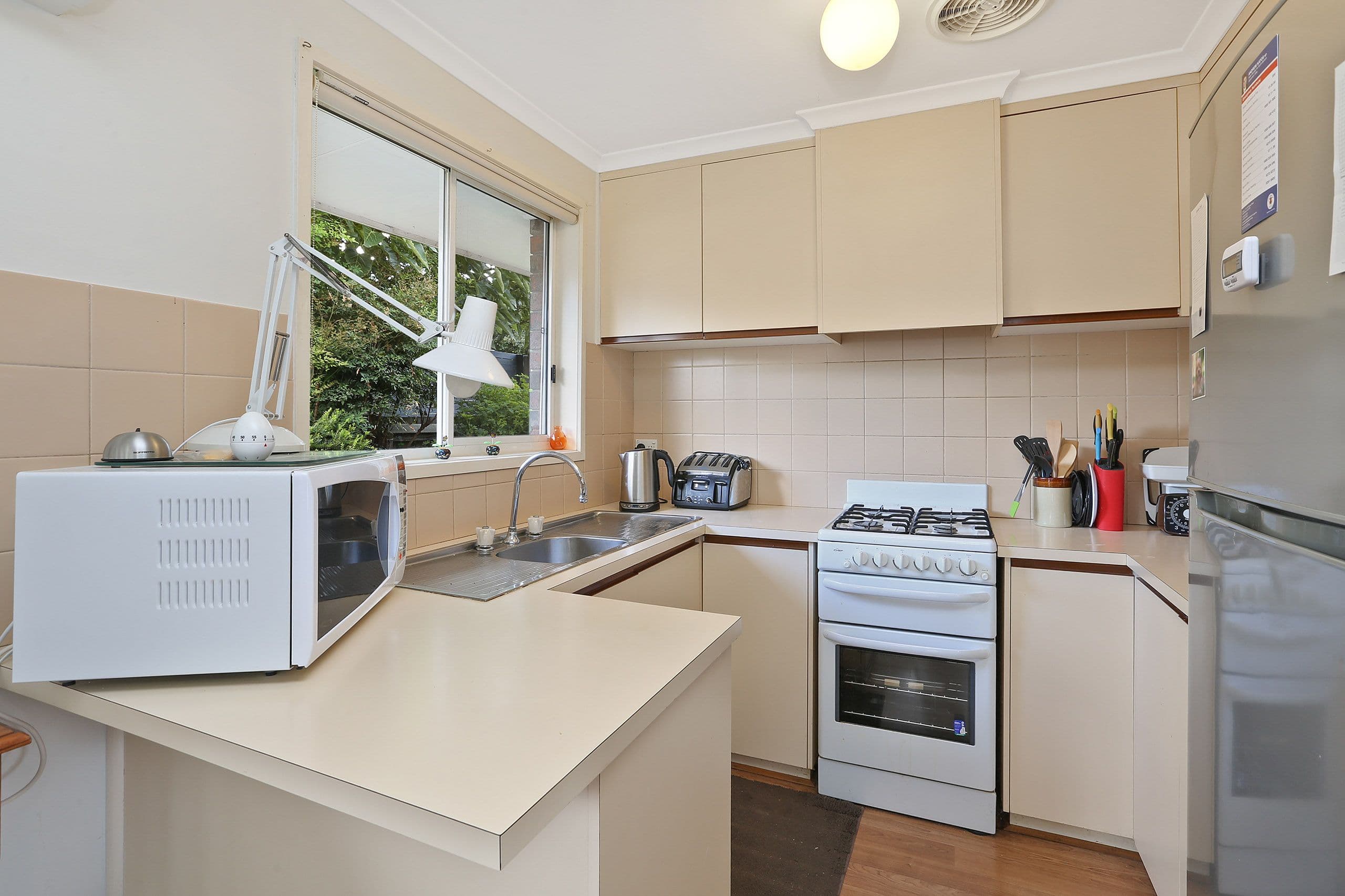 43 Vanessa Avenue, Highton VIC 3216, Highton - Thumbnail 4