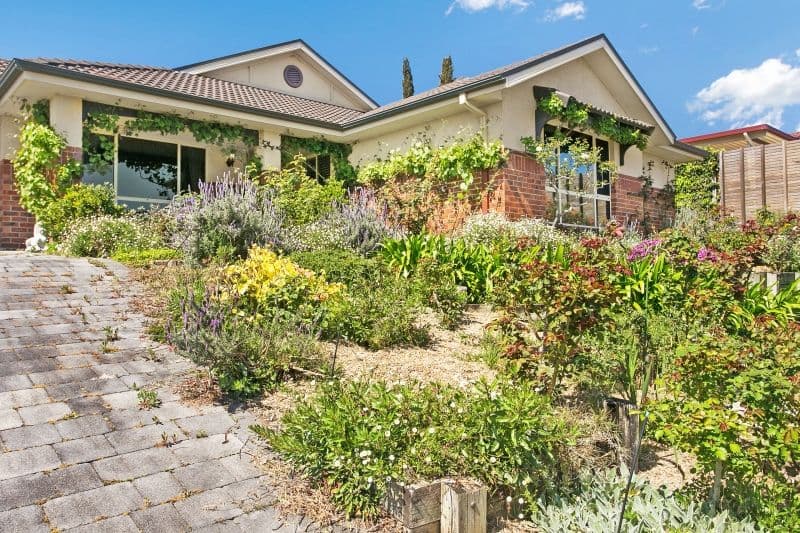 53 Wilton Drive, EAST MAITLAND NSW 2323, East Maitland - Thumbnail 2