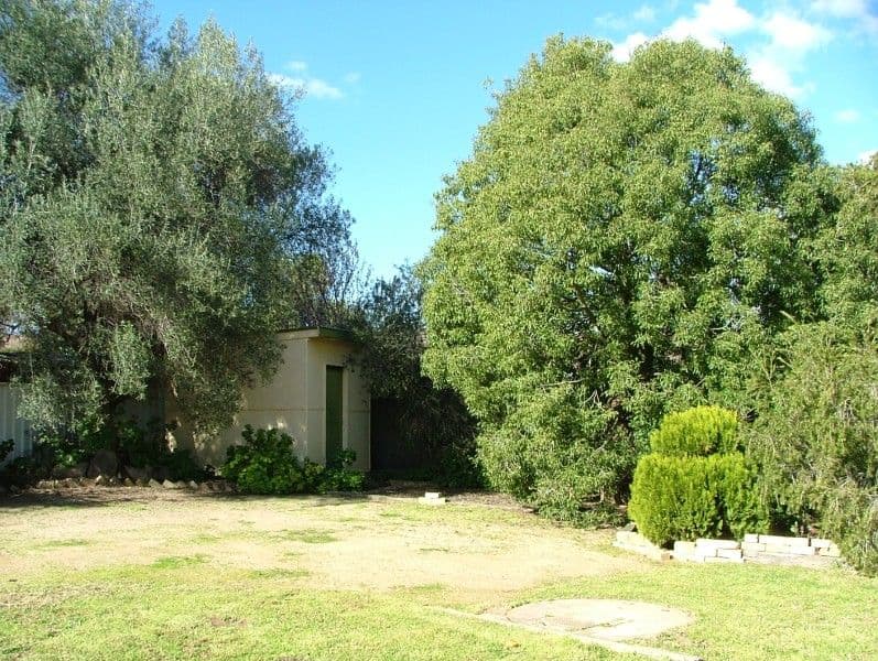 123 Redfern Street, COWRA NSW 2794, Cowra - Thumbnail 8