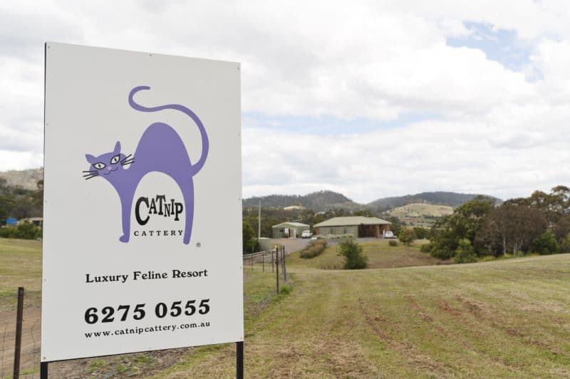 56 Kathleen Drive, OLD BEACH TAS 7017, Old Beach - Image 1