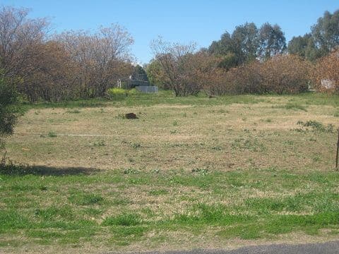 70 Wilga Street, Coonamble NSW 2829, Coonamble - Image 1