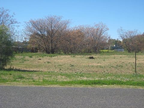 70 Wilga Street, Coonamble NSW 2829, Coonamble - Thumbnail 2