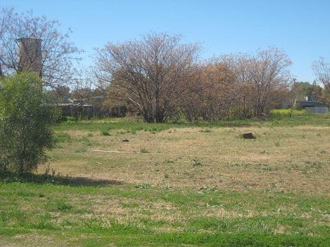 70 Wilga Street, Coonamble NSW 2829, Coonamble - Thumbnail 3