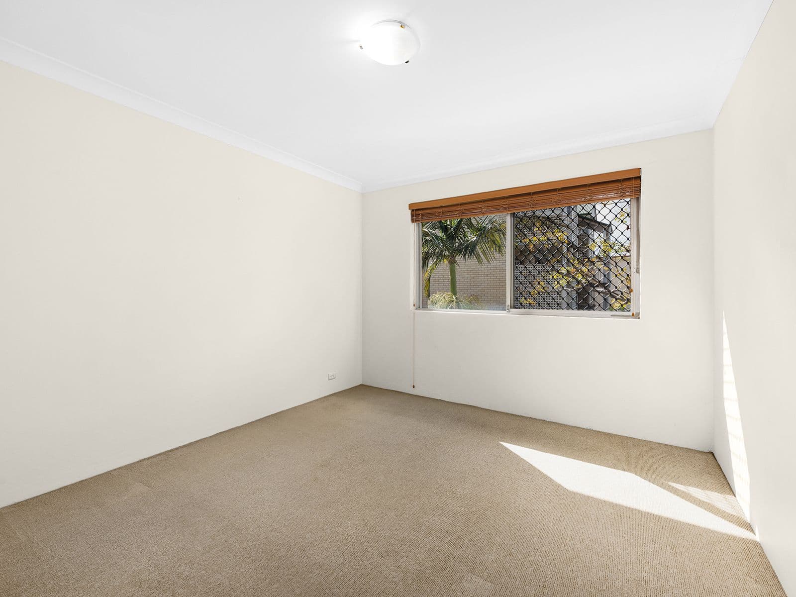 104 Ryans Road, Nundah QLD 4012, Nundah - Thumbnail 8