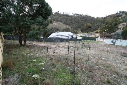13 Bellbush Close, JERRABOMBERRA NSW 2619, Jerrabomberra - Thumbnail 3