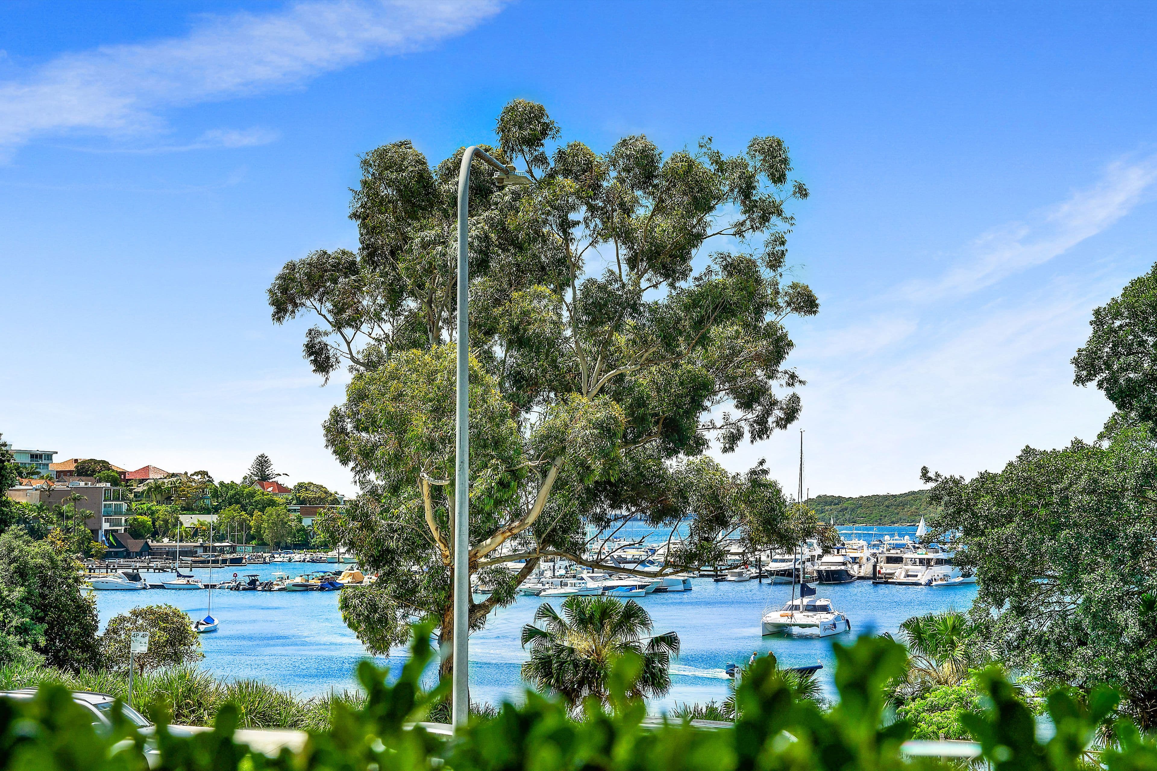 1A Rose Bay Avenue, Rose Bay NSW 2029, Rose Bay - Thumbnail 4