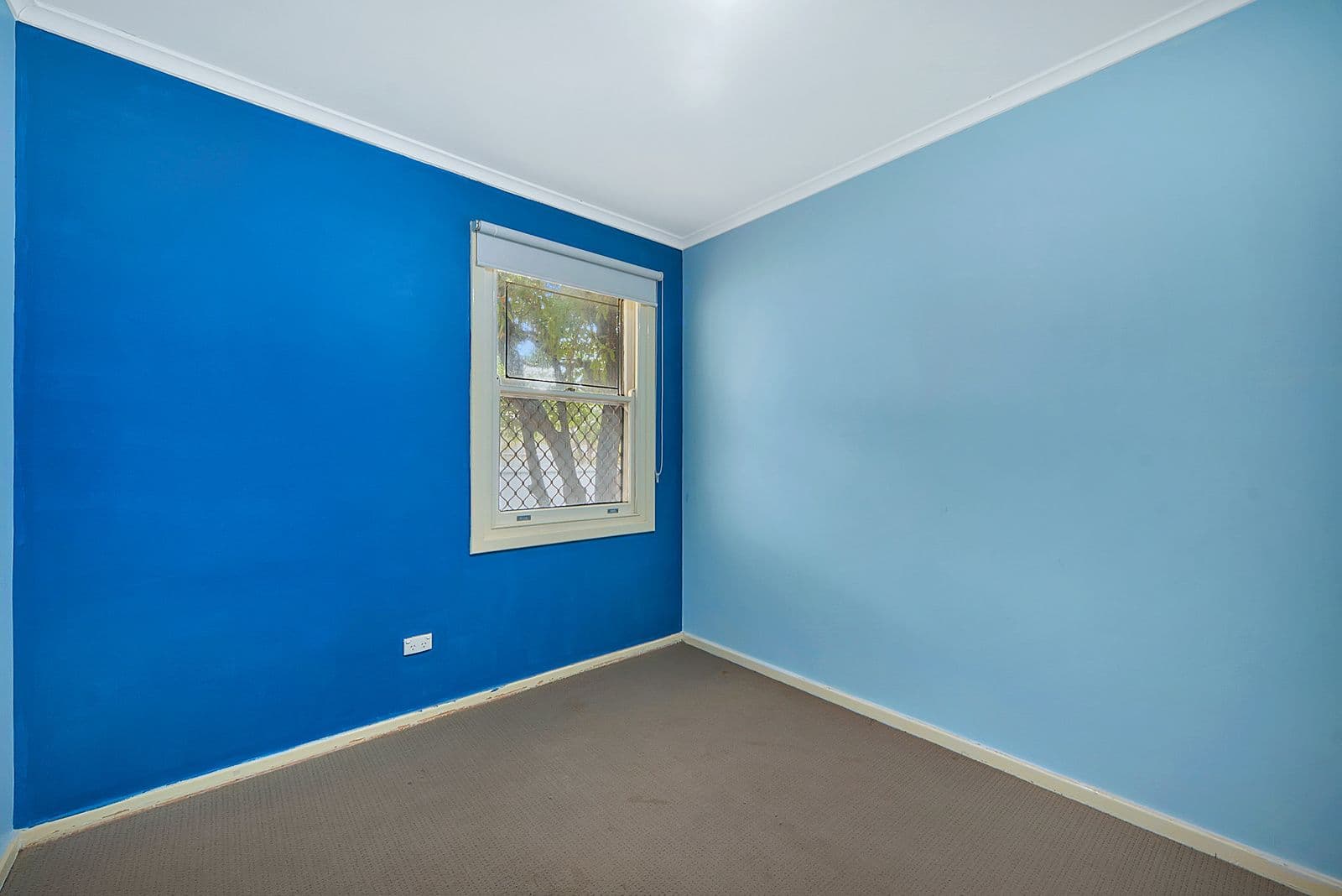 17 Campbell Road, Elizabeth Downs SA 5113, Elizabeth Downs - Thumbnail 4
