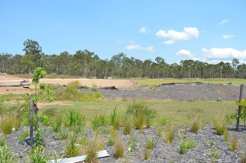12 Eucalyptus Place, KIRKWOOD QLD 4680, Kirkwood - Thumbnail 4
