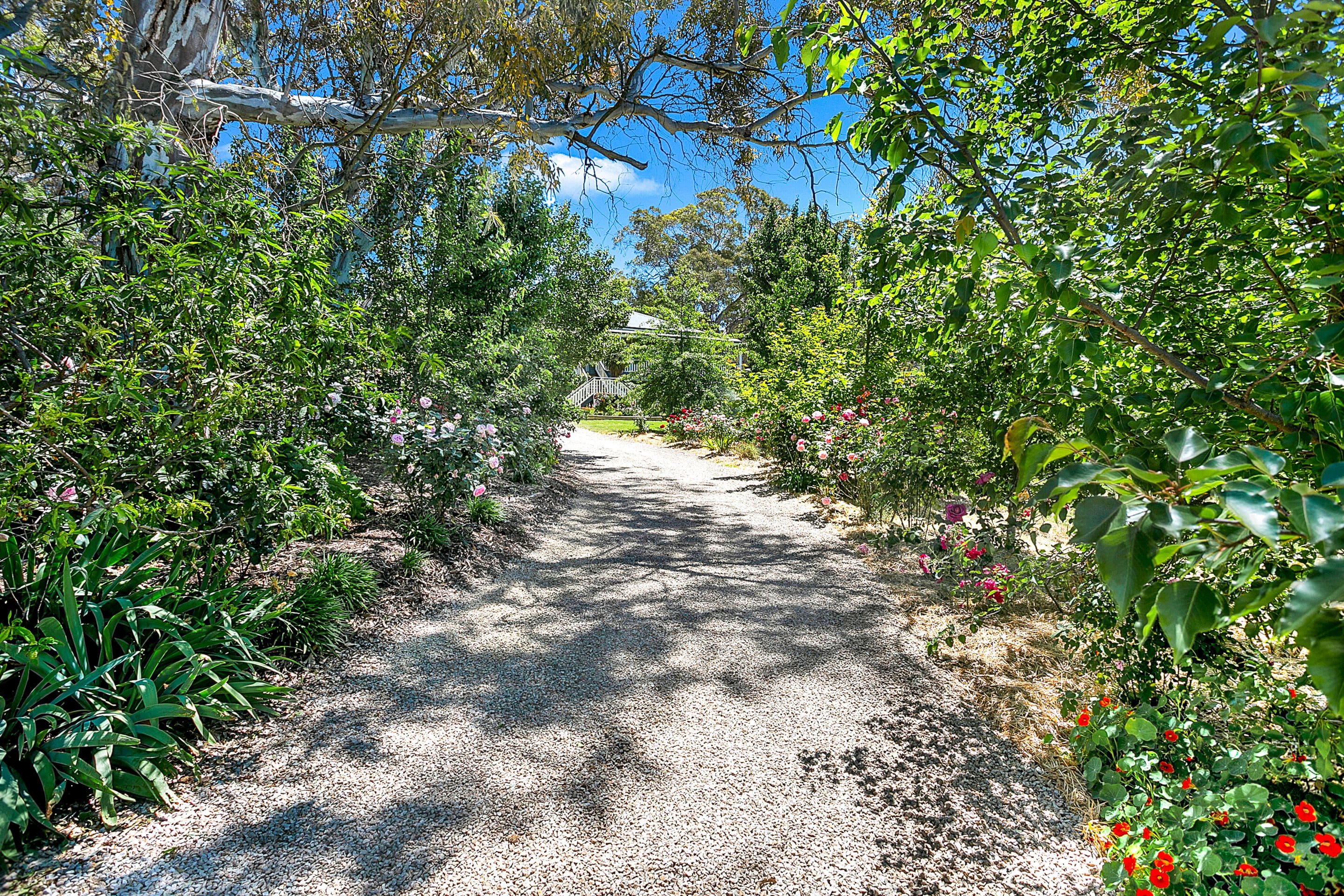 30 Claret Ash Drive, Mount Barker SA 5251, Mount Barker - Thumbnail 8