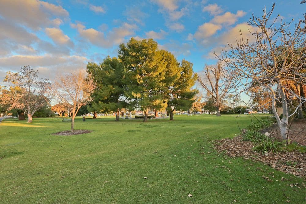 8 Deakin Parade, MILDURA VIC 3500, Mildura - Thumbnail 4