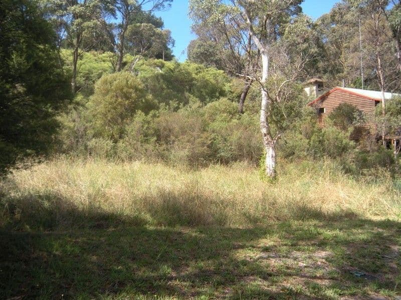 23 Third Street, BLACKHEATH NSW 2785, Blackheath - Thumbnail 4