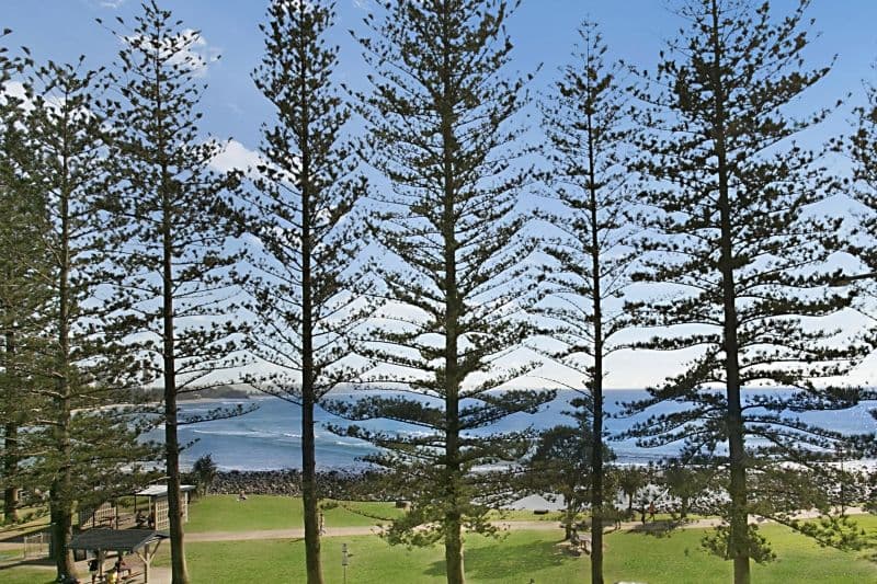 24 Goodwin Terrace, BURLEIGH HEADS QLD 4220, Burleigh Heads - Image 1