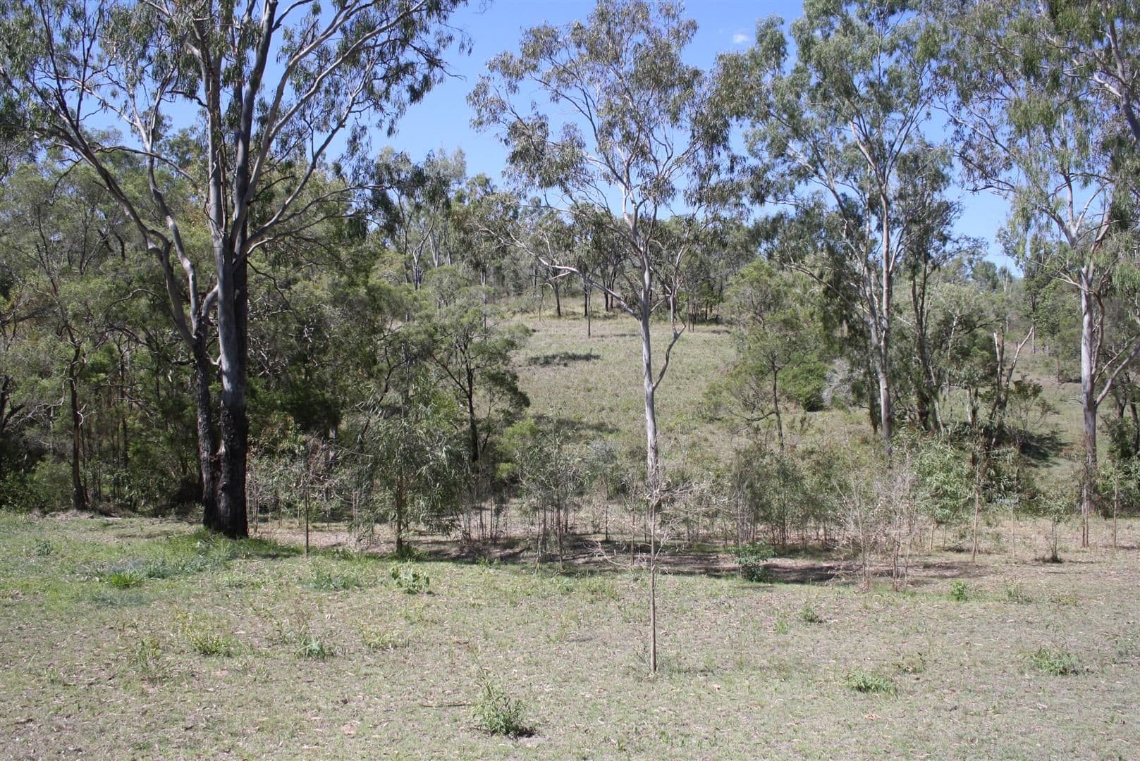 39 Wyvills Road, Moongan QLD 4714, Moongan - Thumbnail 2