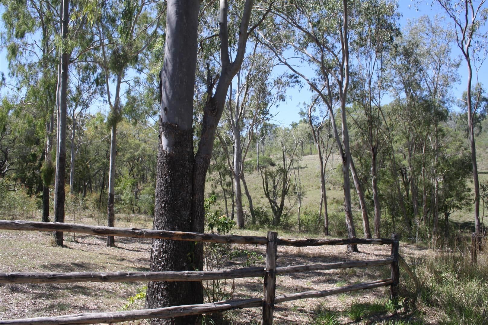 39 Wyvills Road, Moongan QLD 4714, Moongan - Thumbnail 7