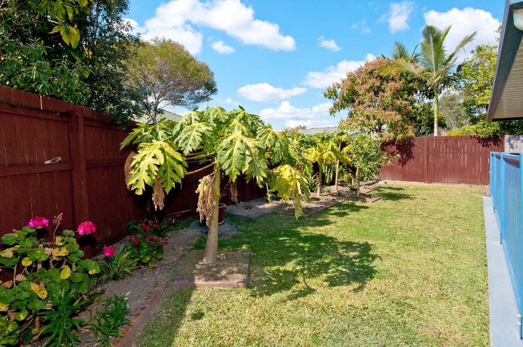 49 Allora Street, WATERFORD WEST QLD 4133, Waterford West - Thumbnail 5