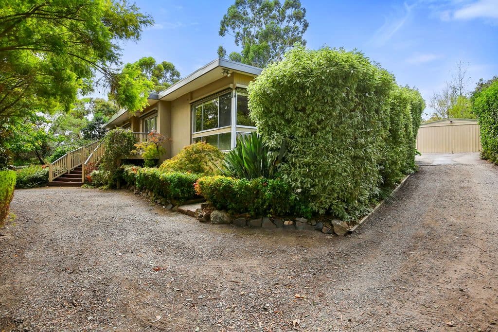 51 Nancy Street, North Bondi - Thumbnail 4