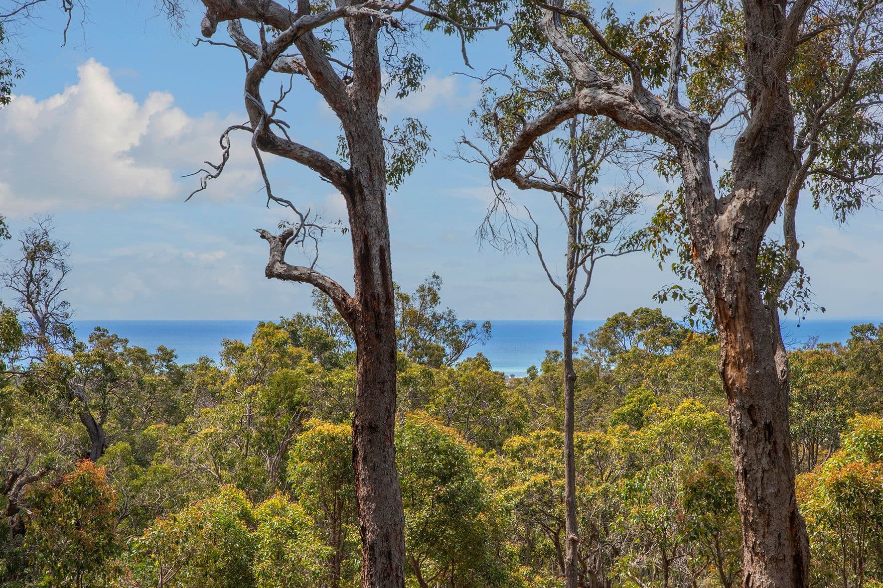 39 Big Rock Place, Quedjinup WA 6281, Quedjinup - Thumbnail 4
