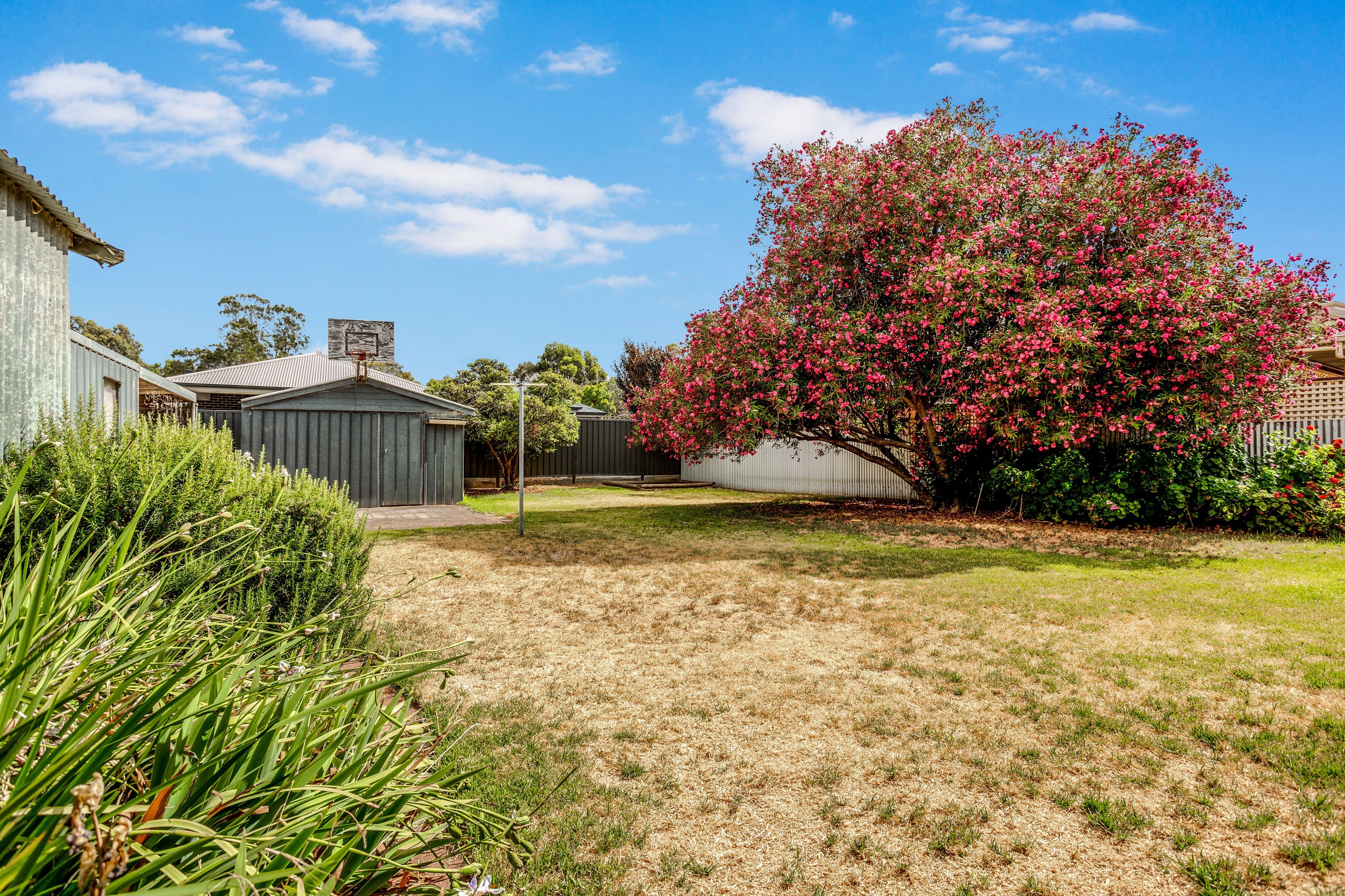16 Folland Avenue, Northfield SA 5085, Northfield - Thumbnail 8