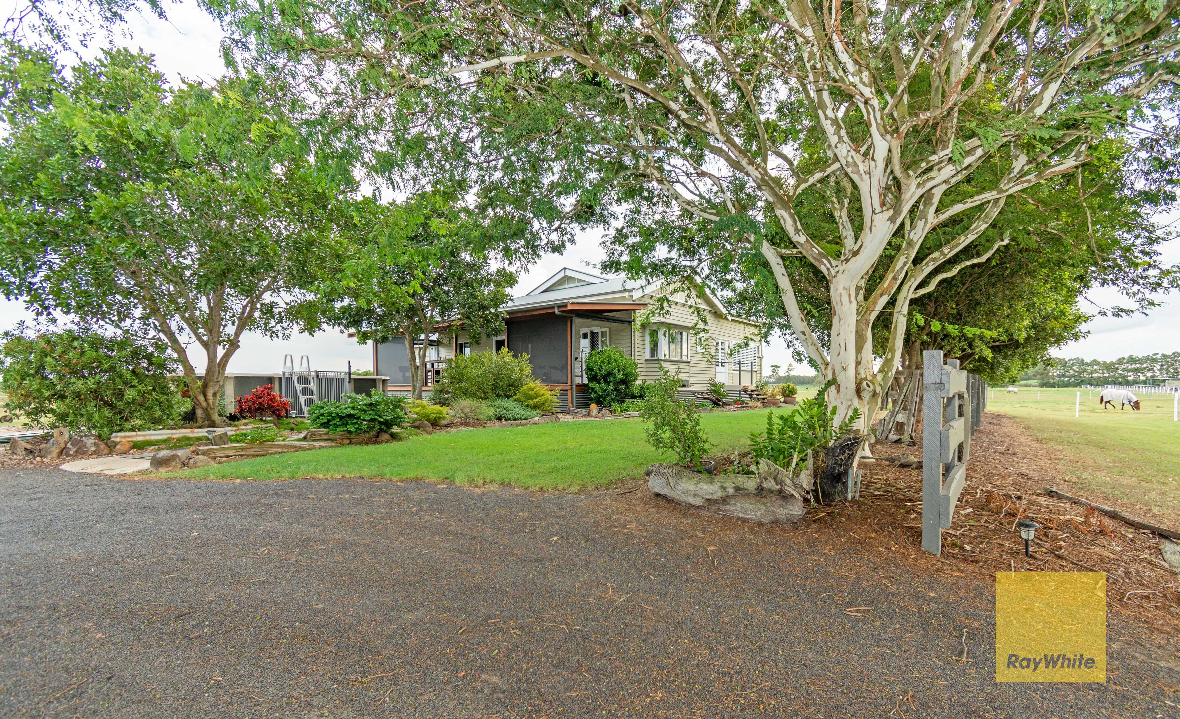110 Tarrants Road, Calavos QLD 4670, Calavos - Thumbnail 3