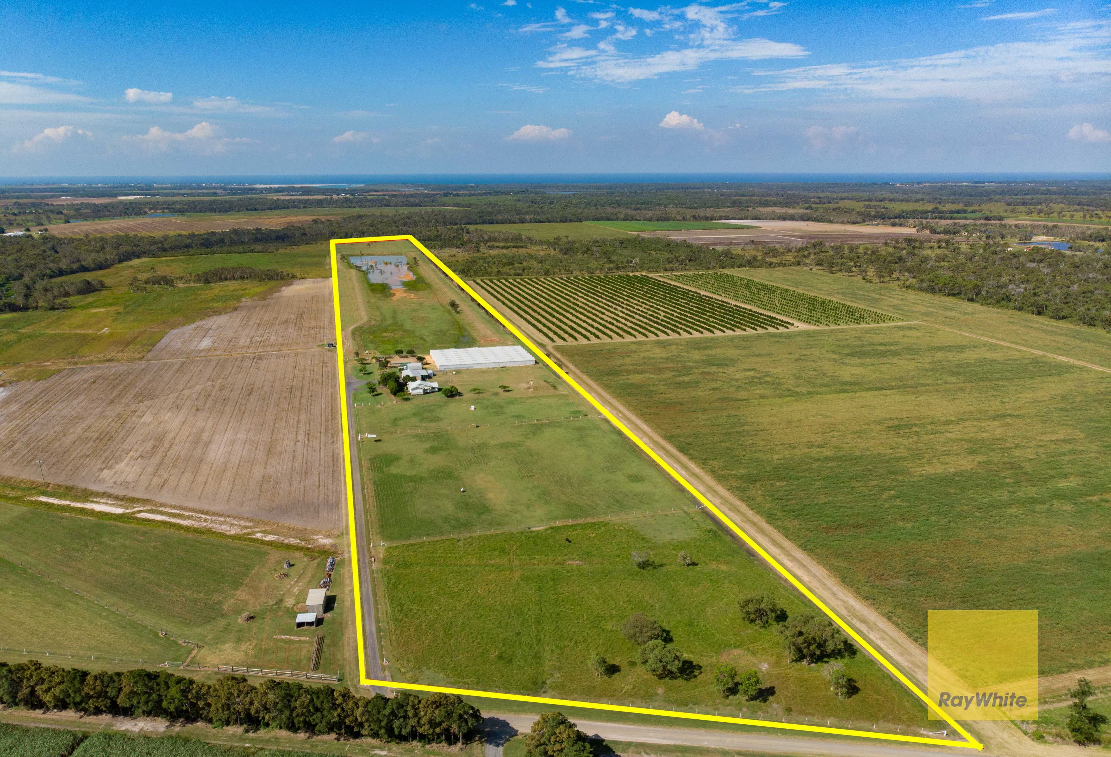 110 Tarrants Road, Calavos QLD 4670, Calavos - Thumbnail 4