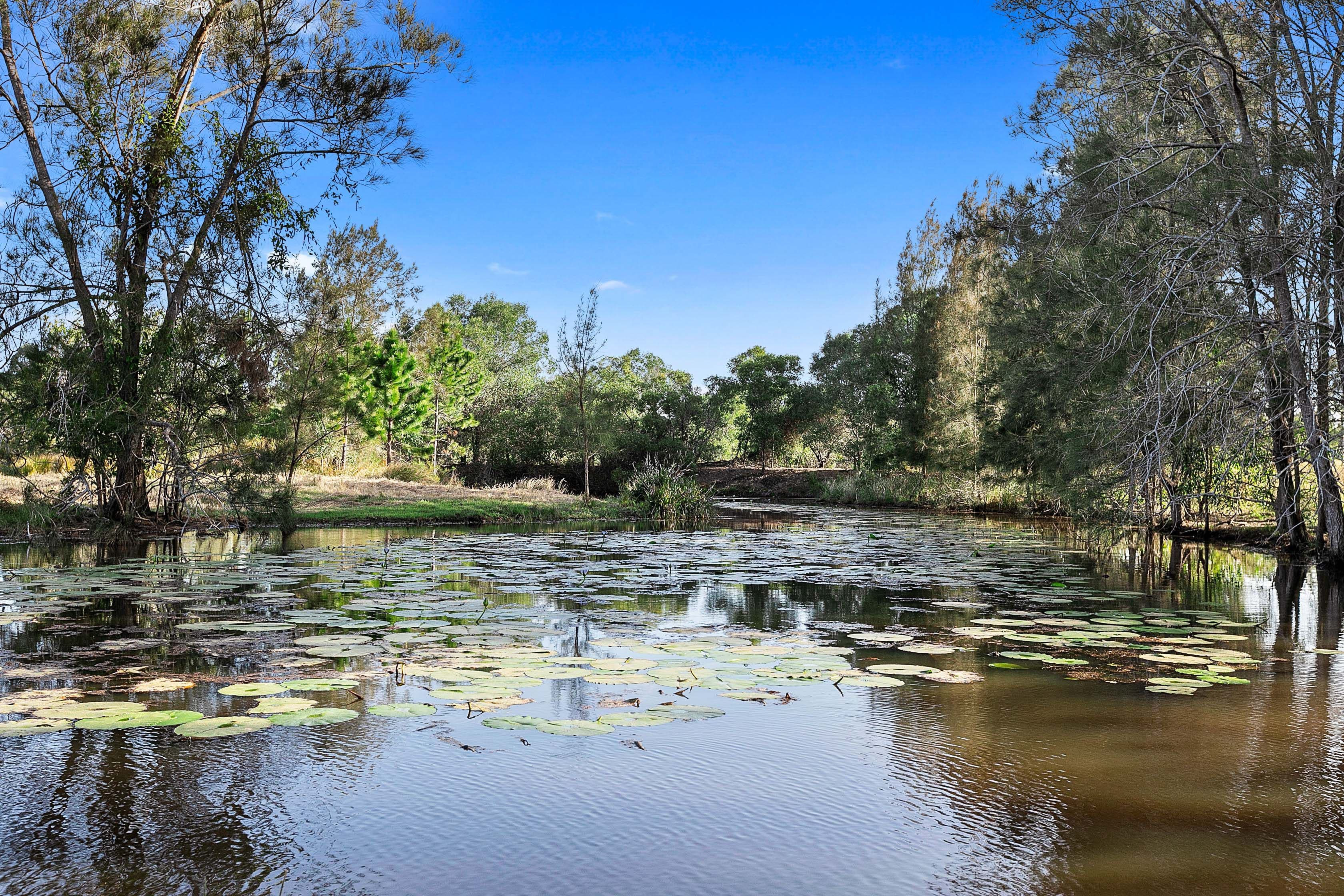 992 Mungar Road, Mungar QLD 4650, Mungar - Thumbnail 4
