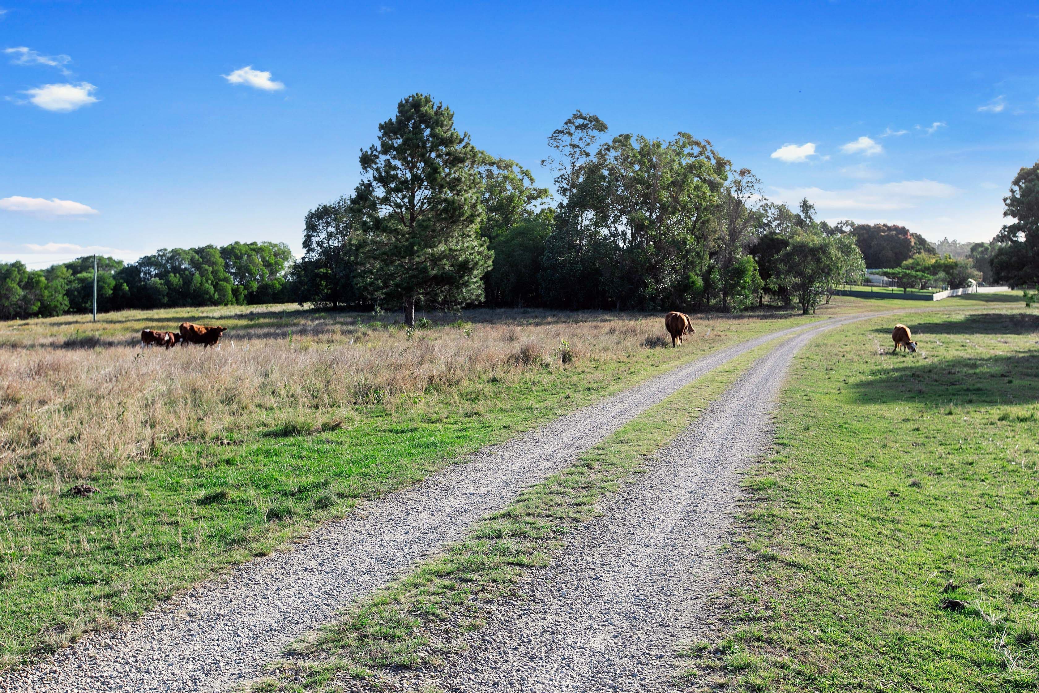 992 Mungar Road, Mungar QLD 4650, Mungar - Thumbnail 5