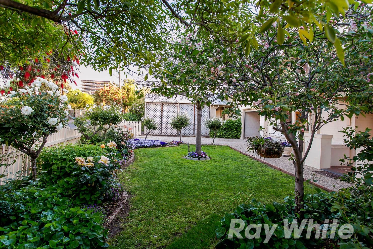 14 Cross Street, Fullarton SA 5063, Fullarton - Thumbnail 2