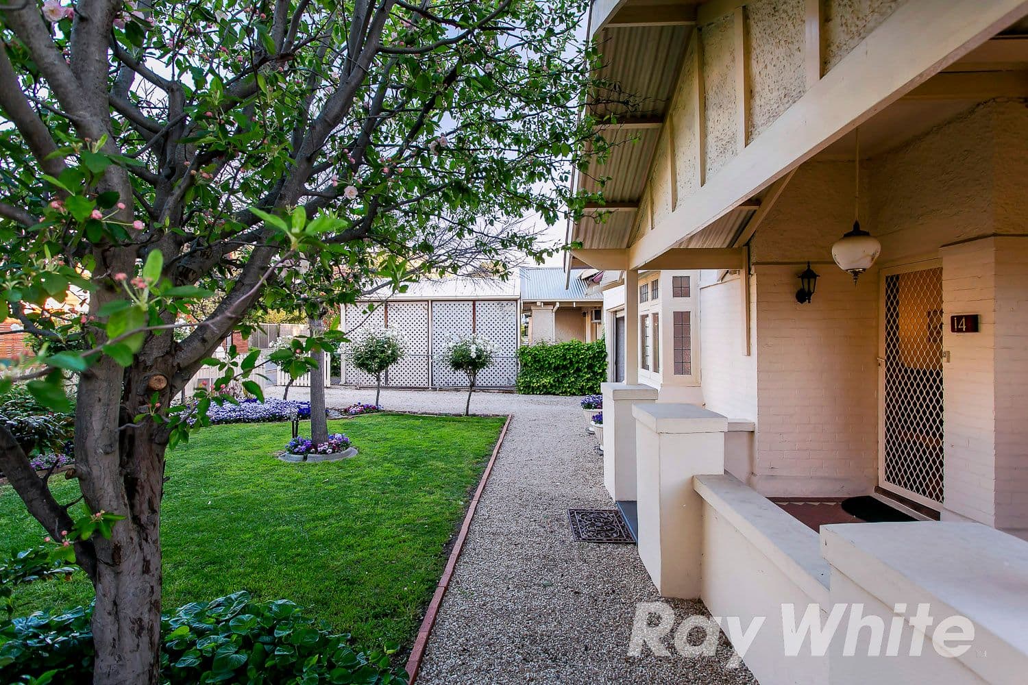 14 Cross Street, Fullarton SA 5063, Fullarton - Thumbnail 3