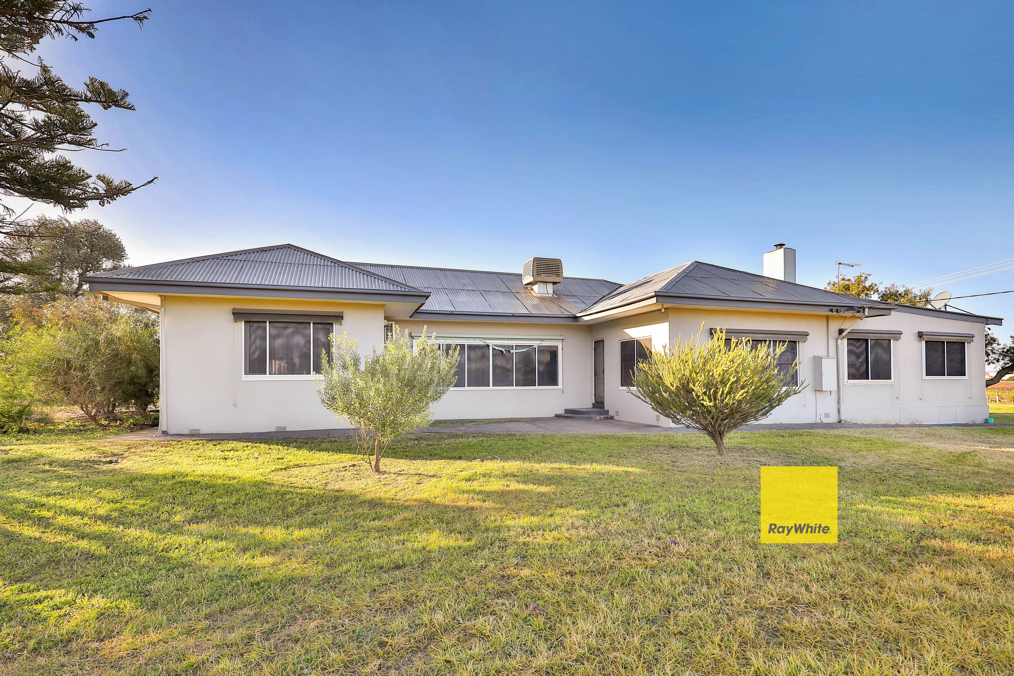17 Ovens Avenue, Red Cliffs VIC 3496, Red Cliffs - Image 1