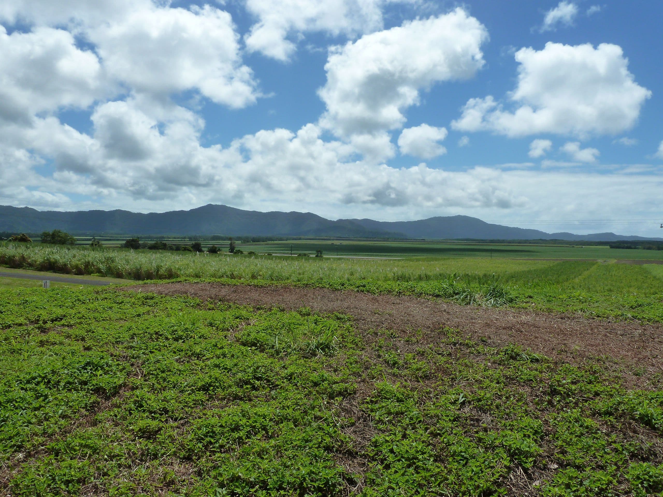 Lot 8 De Meio Drive, Lower Daintree QLD 4873, Lower Daintree - Image 1