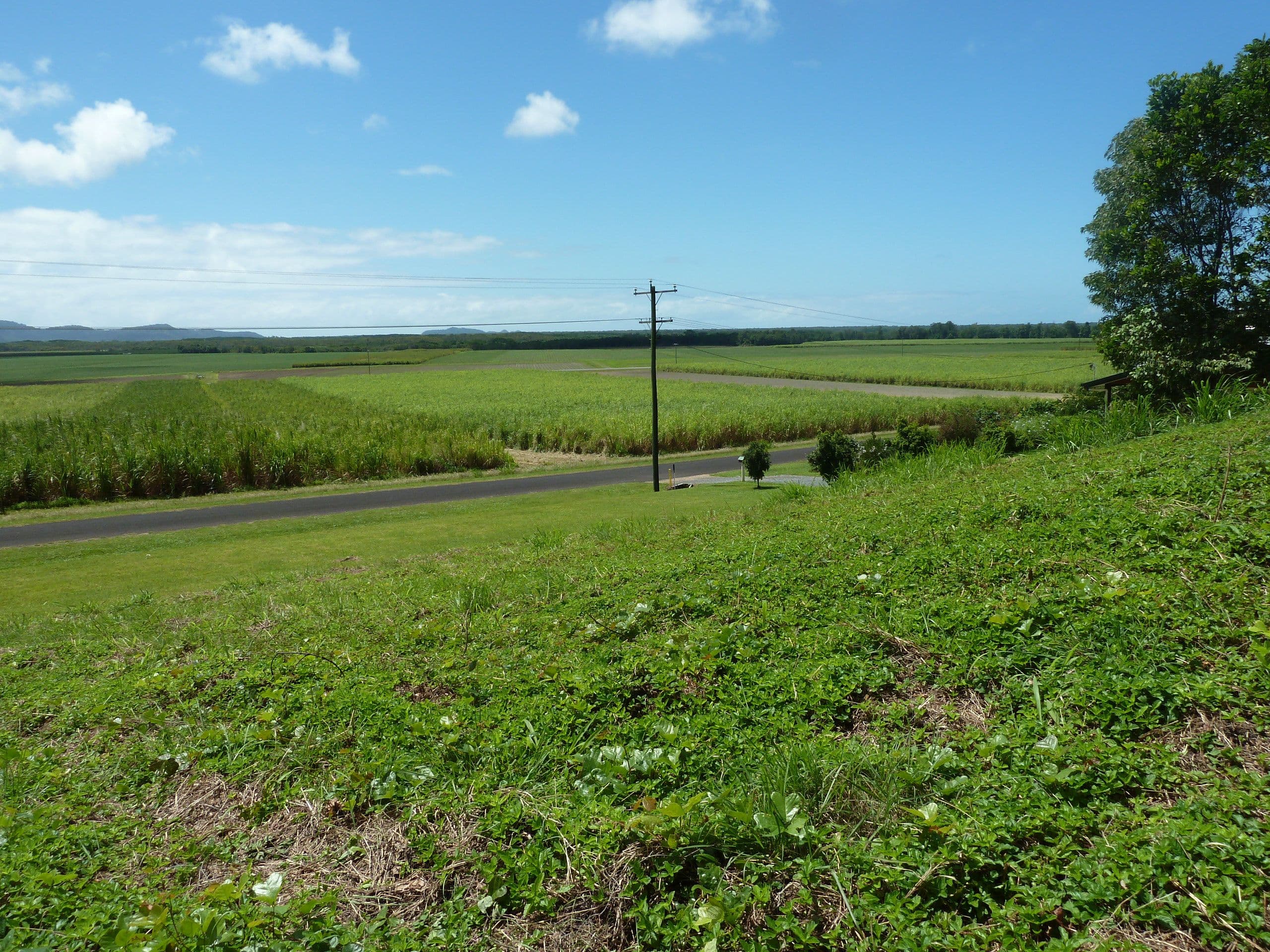 Lot 8 De Meio Drive, Lower Daintree QLD 4873, Lower Daintree - Thumbnail 5